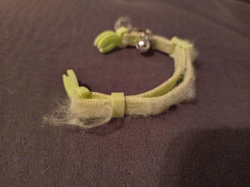 Collar after one month of use (indoor kitten)