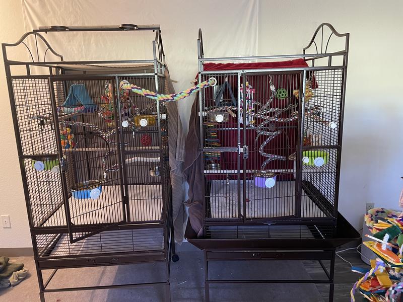 new cages- w my leg extensions