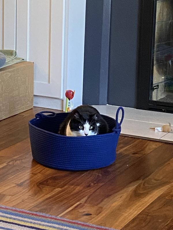 Custard in basket from side