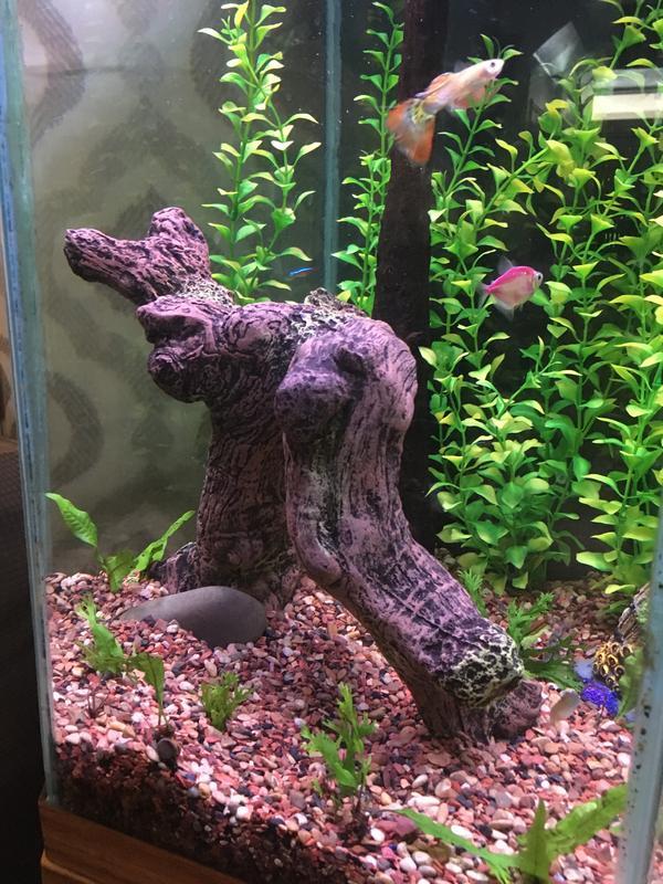 Took out soft driftwood to replace with this