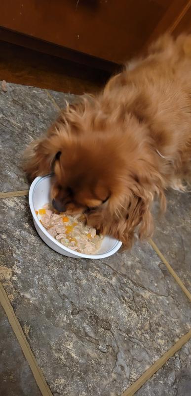 Pepper loves it!