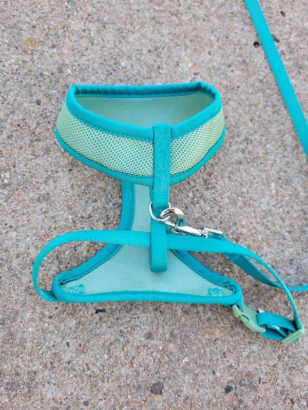 Easy to get the belly strap through the loop