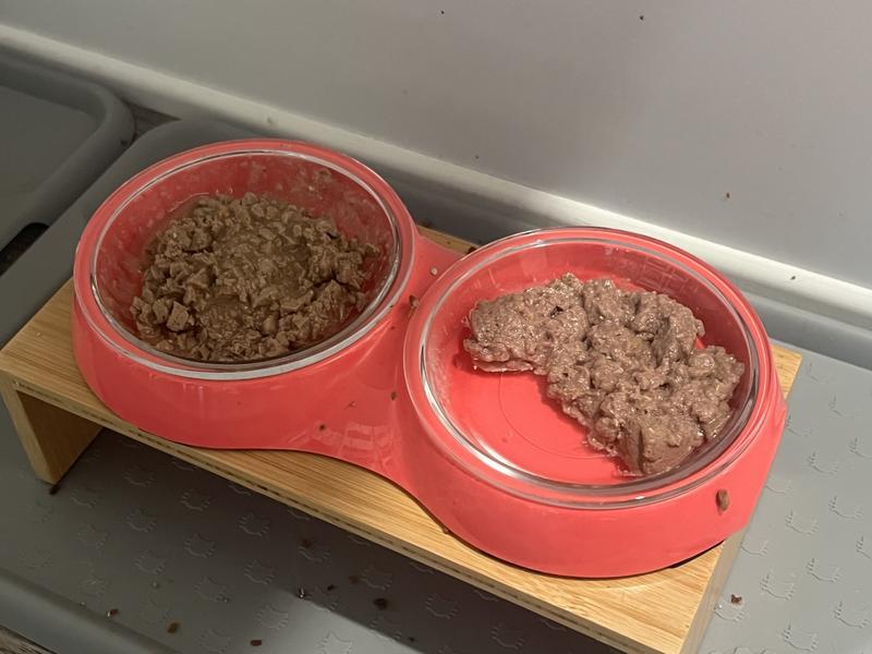 Glass dishes in the additional insert with food