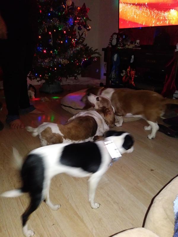 Photo - commentaire 5.