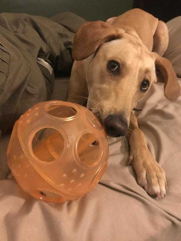 “Don’t take my favorite ball, mom”