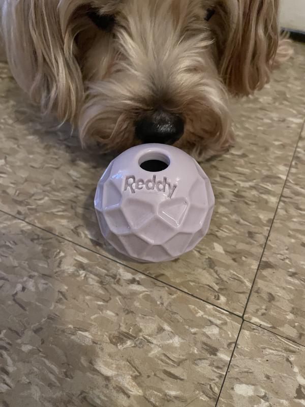 Sniff test