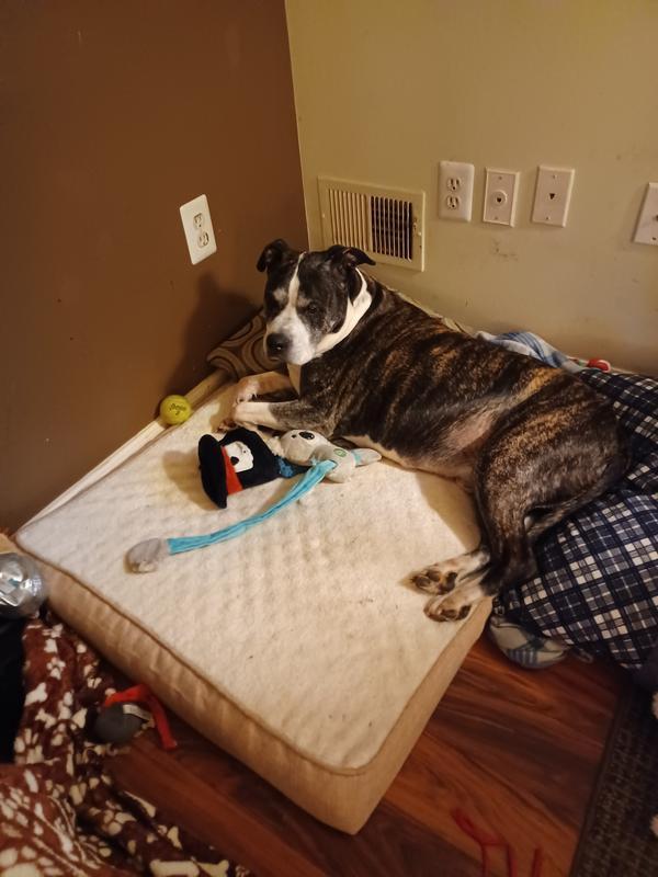 Photo - commentaire&nbsp;2.