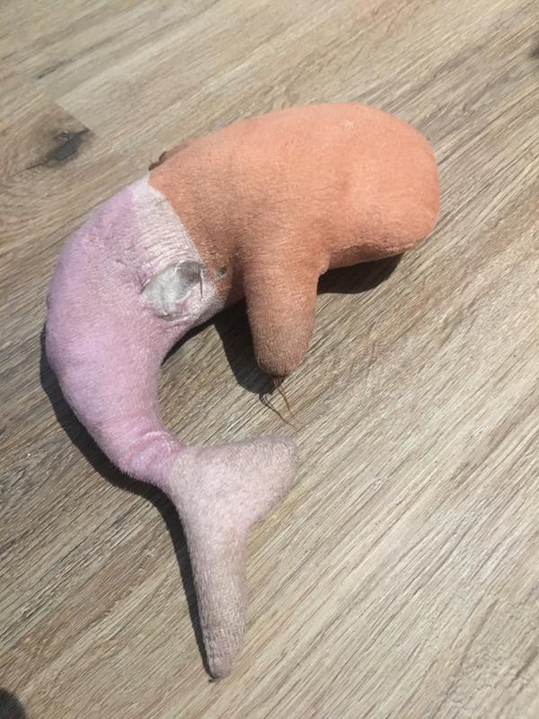 Lasted a few weeks but rather thin and easily torn