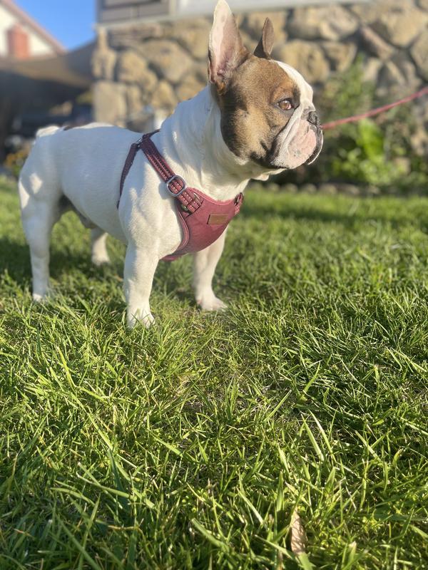 Take the picture like I’m not looking mom!