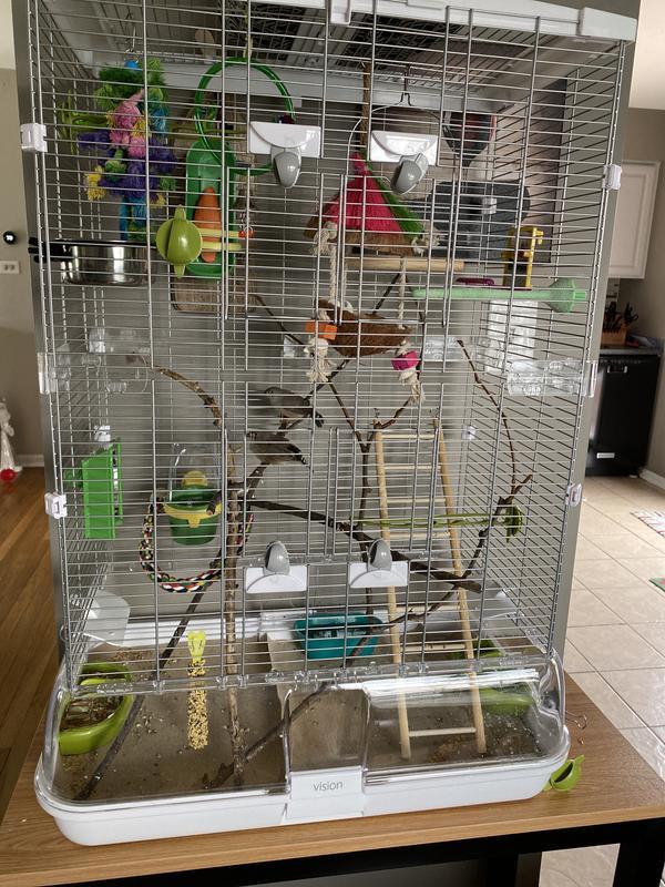 Full cage setup