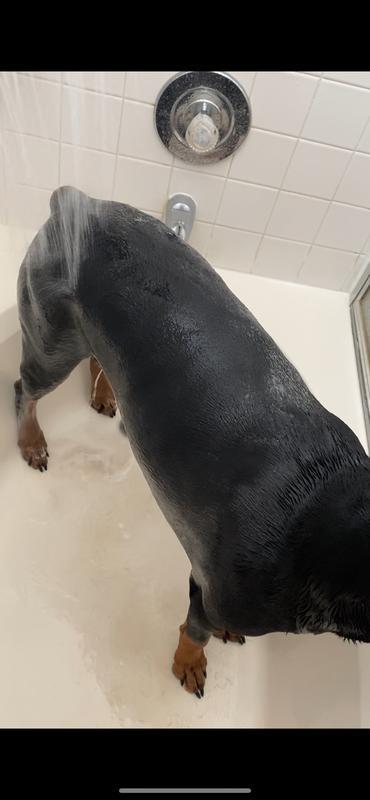You can see all the dirt rinsing off