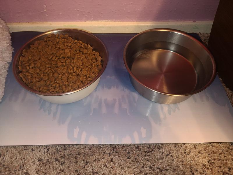 EveryYay Blue Ombre Dog Bowl Set, 4 Cups, Pack of 3