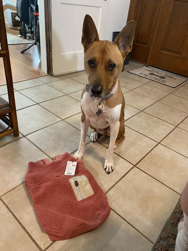 Bartlet was very disappointed this didn’t fit him