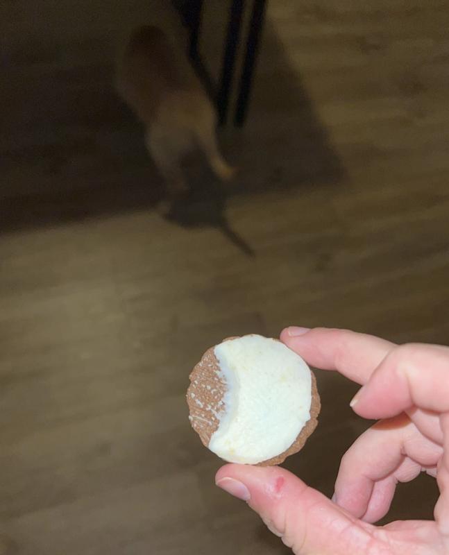 The bite I took out of the cookie