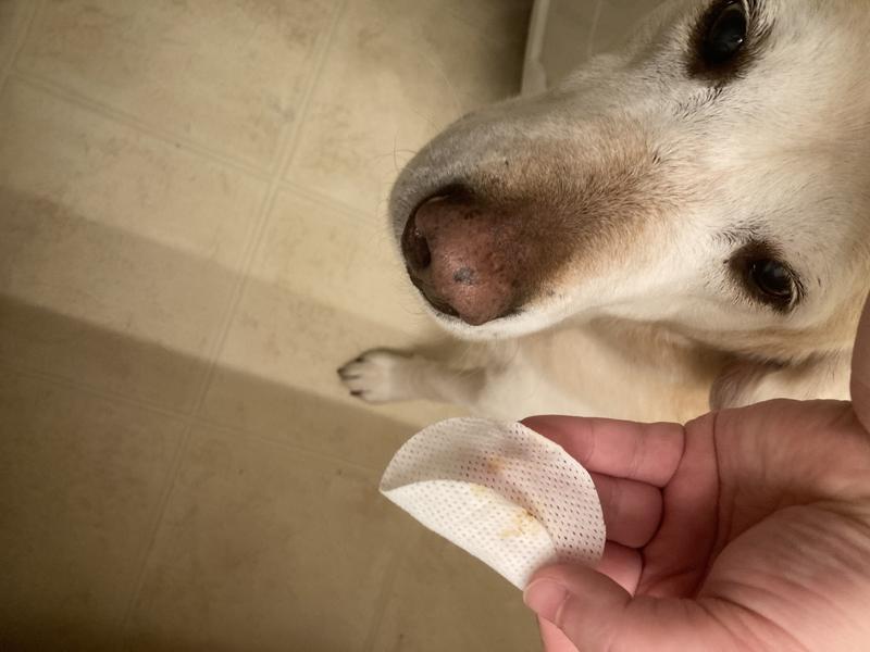 Wipe collected dirt