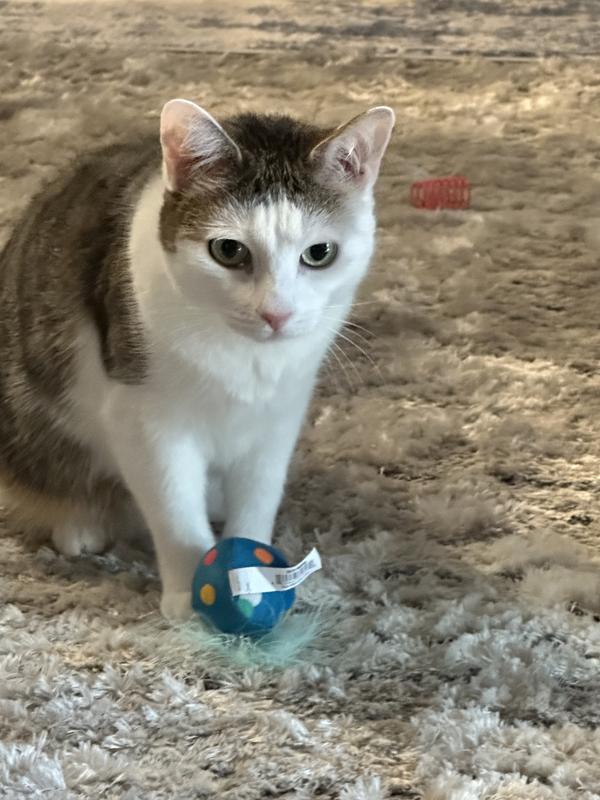 It’s mine.  Keep away