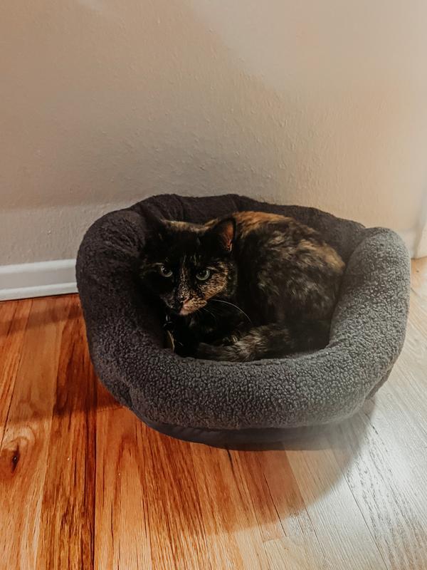 She’s happy with this bed, just not happy with me waking her with a photo.