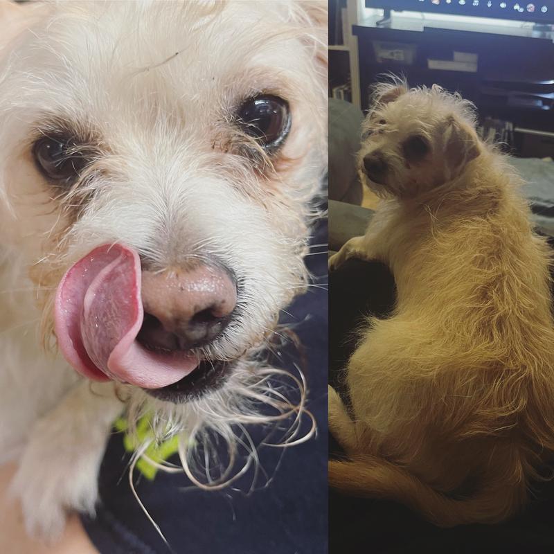 After on the left, before on the right!