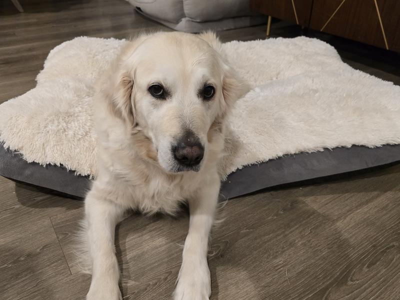 Shes chilling on her bed!