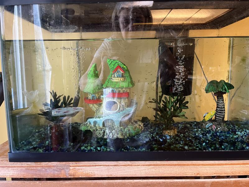 Gnome home