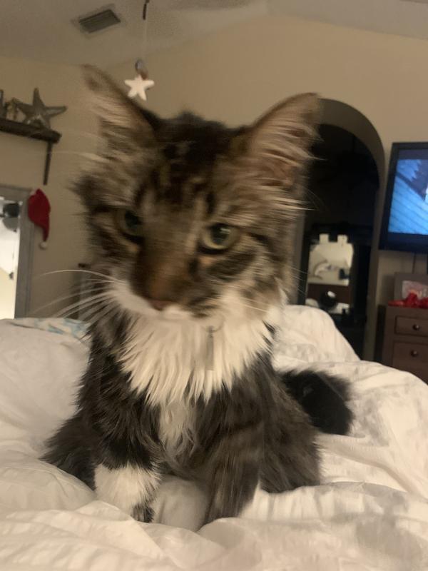 Photo - commentaire&nbsp;4.