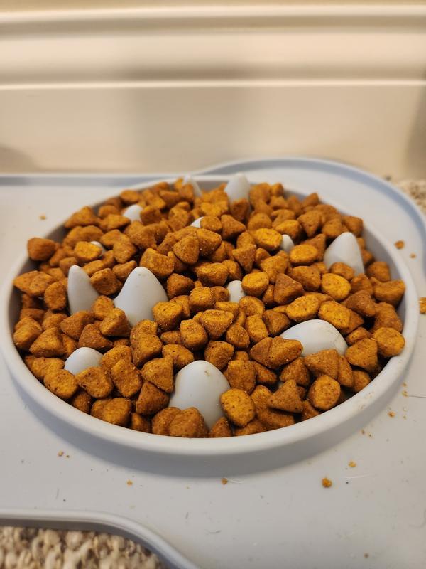 One cup of cat food.