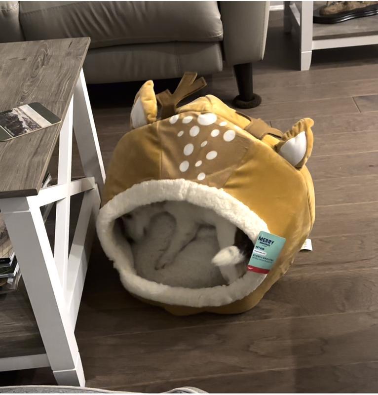 Photo - commentaire 7.