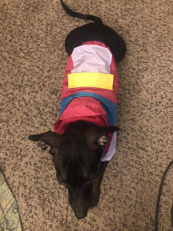 Photo - commentaire 8.