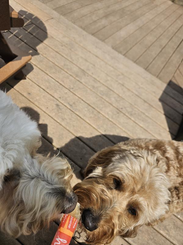 Daisy and Belladonna sharing