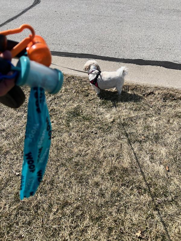 Time for a Walk
