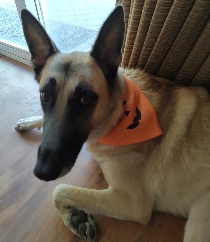 Photo - commentaire 3.