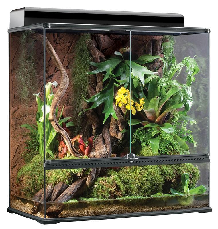 Added more plants