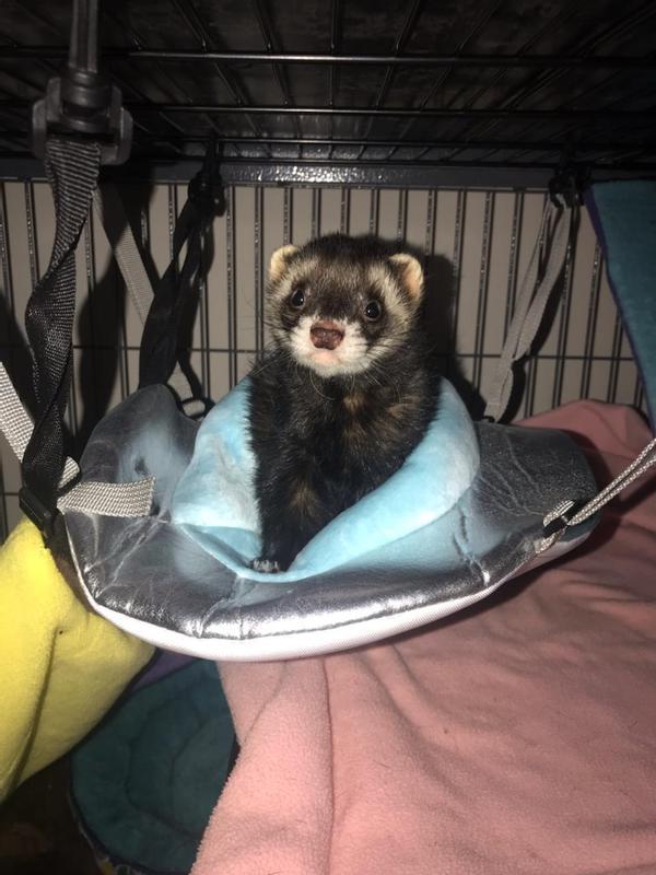 Gambit getting ready to escape