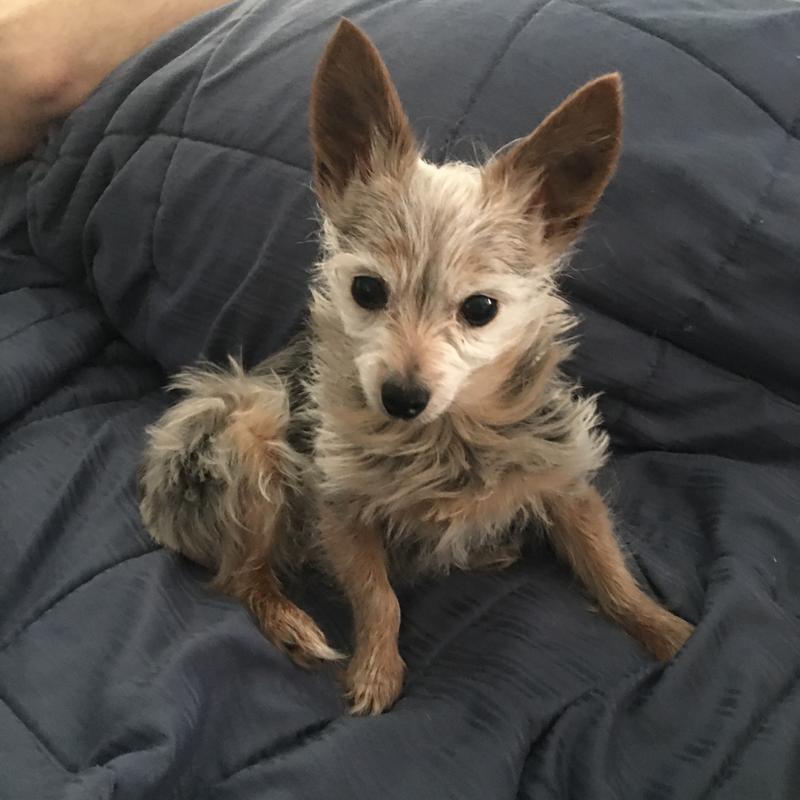 Tucker