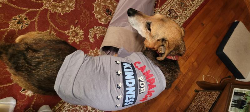 Relaxing on the campaign trail.