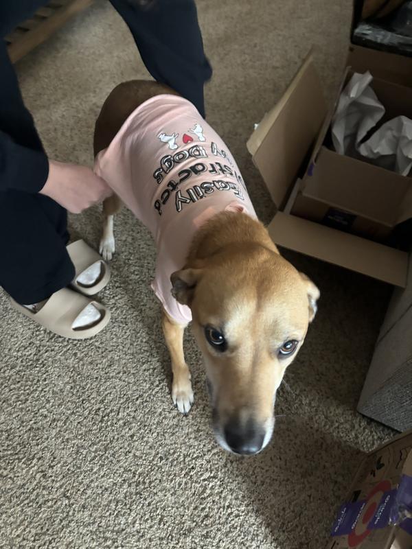 Ready for a walk