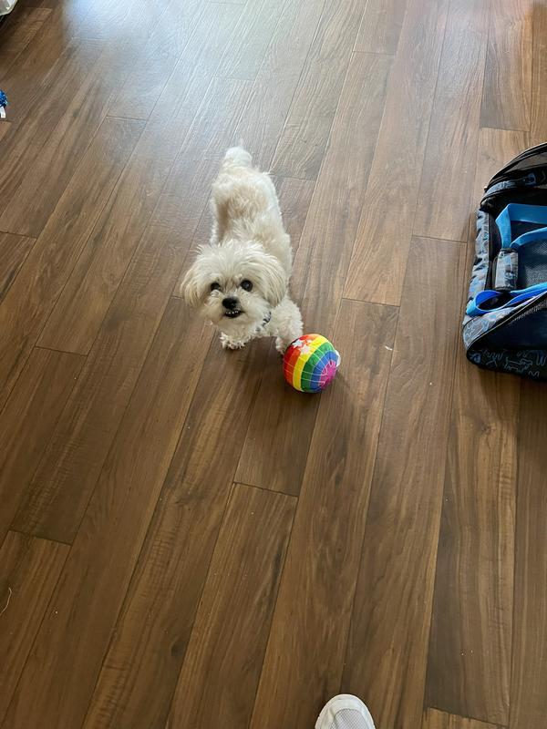 I think he likes it!