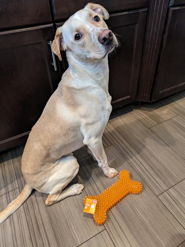 Photo - commentaire&nbsp;6.