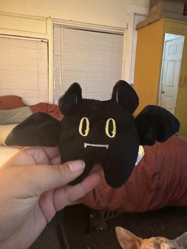 Photo - commentaire 6.