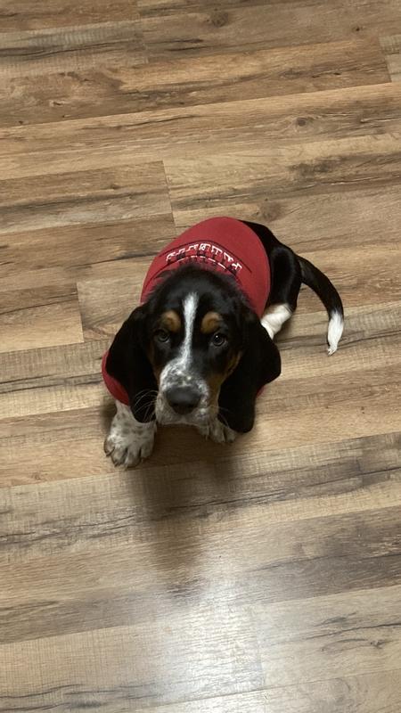 Photo - commentaire&nbsp;4.