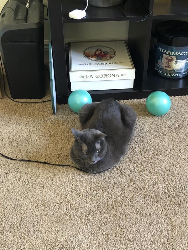 Not her cup of tea!