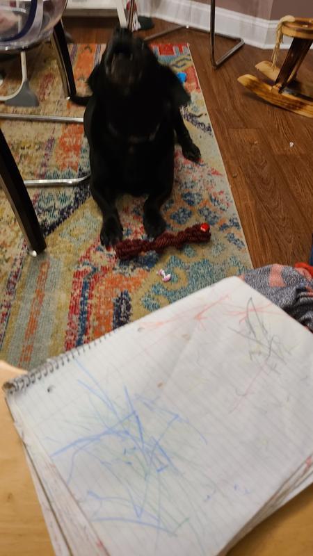 Photo - commentaire&nbsp;6.