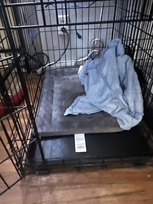Small kennel pad, I think I should have gotten medium for my two min pins, but they do both fit on it together.
