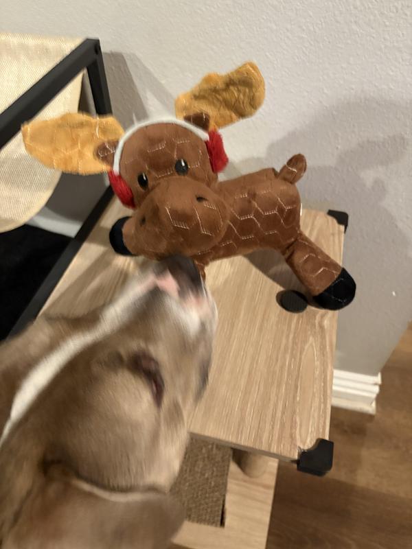 Photo - commentaire&nbsp;5.