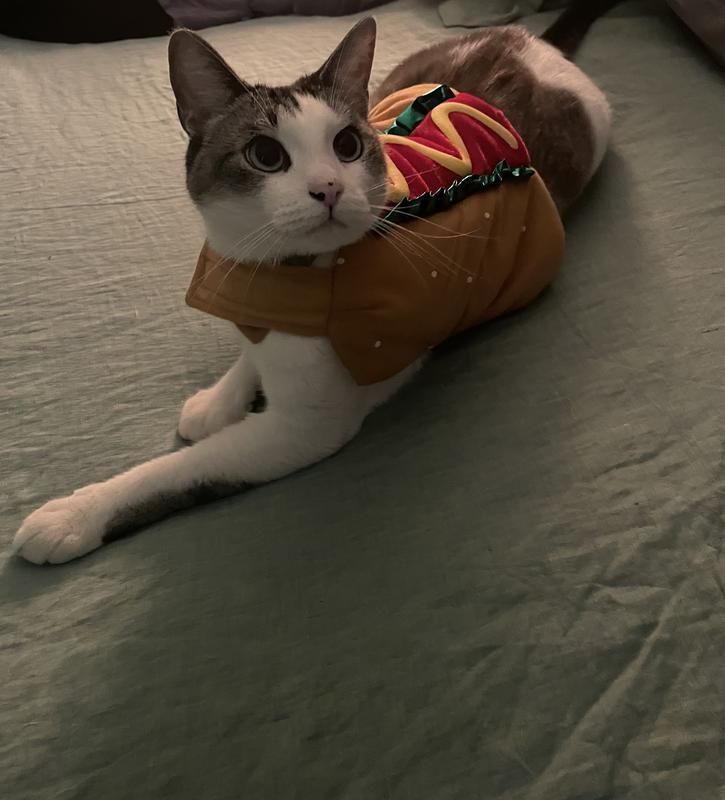 Little Lil Wayne approved!