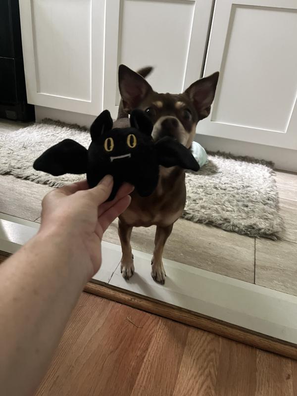 Photo - commentaire 2.