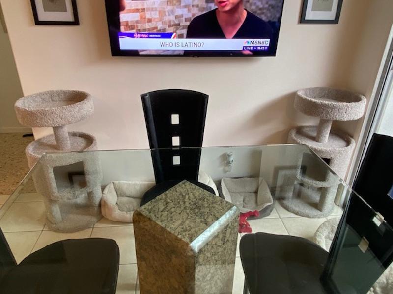Kei condo｜ピッチャー EveryYay Lookout Loft 3-level Cat Tree with Condo for Large
