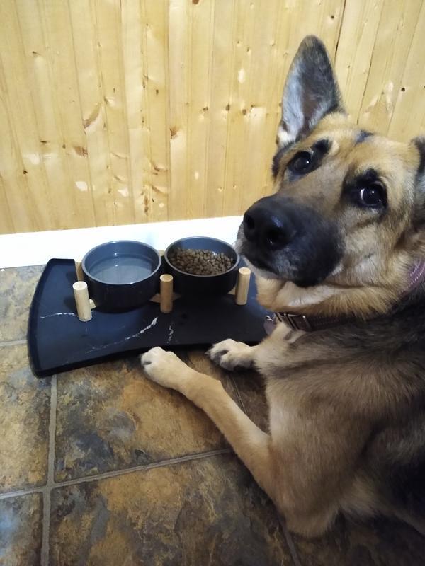 Keeps everything clean and matches our bowls.