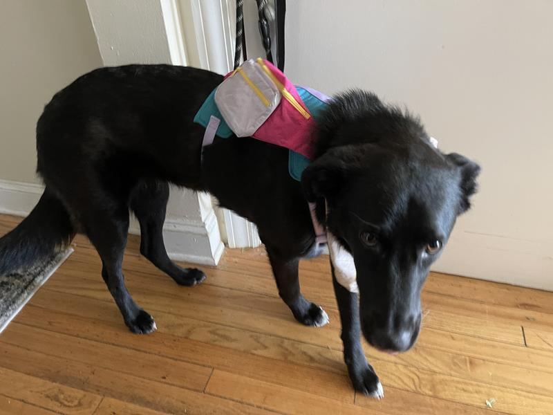 Photo - commentaire 7.