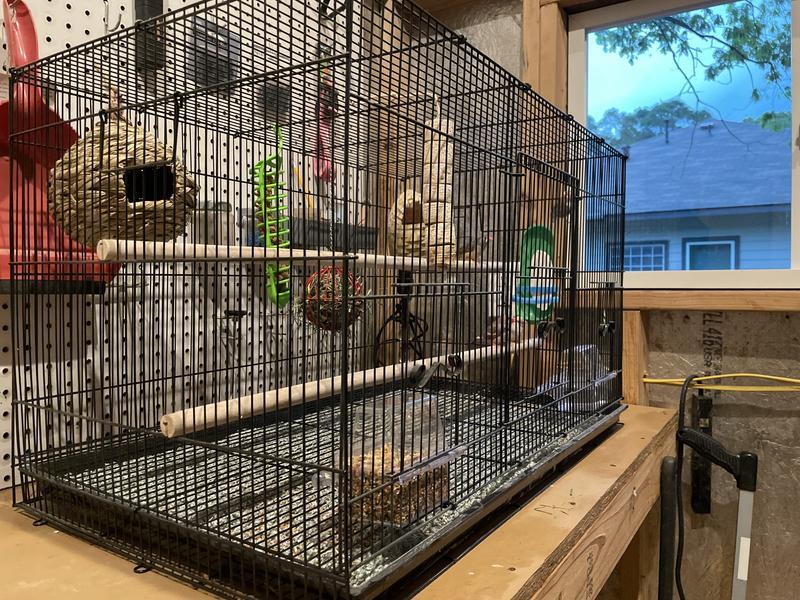 Good size cage for up to 4 zebra finches.